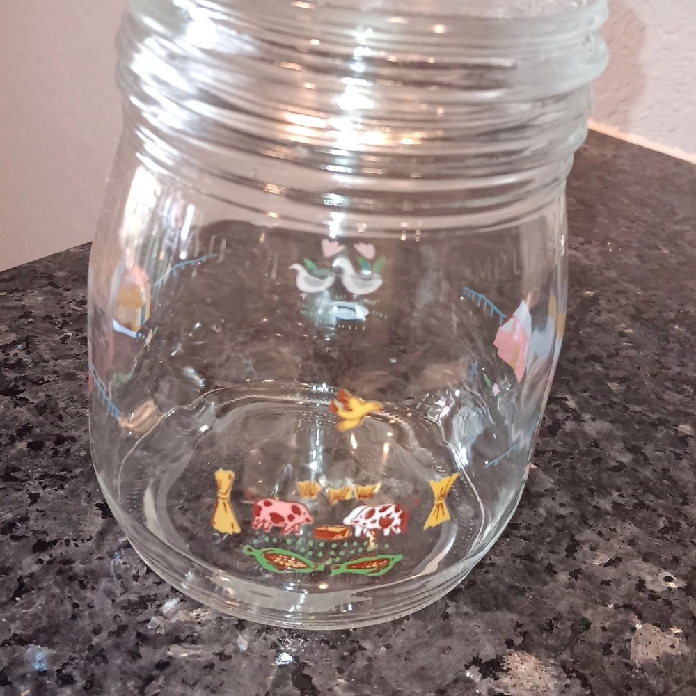 Vintage arc France Colorful Farmhouse Theme Patterned Glass Jar